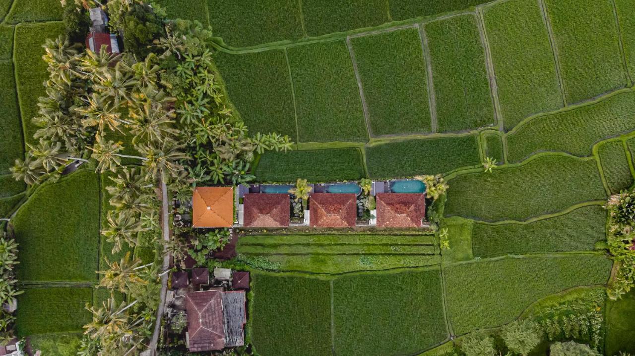 Airsania Ubud Antique Villas Exteriör bild